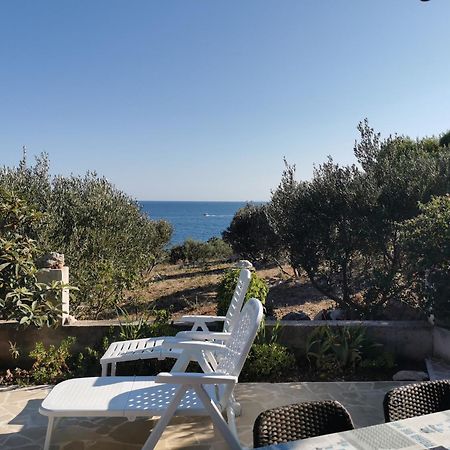Apartment Goga سيفيد المظهر الخارجي الصورة